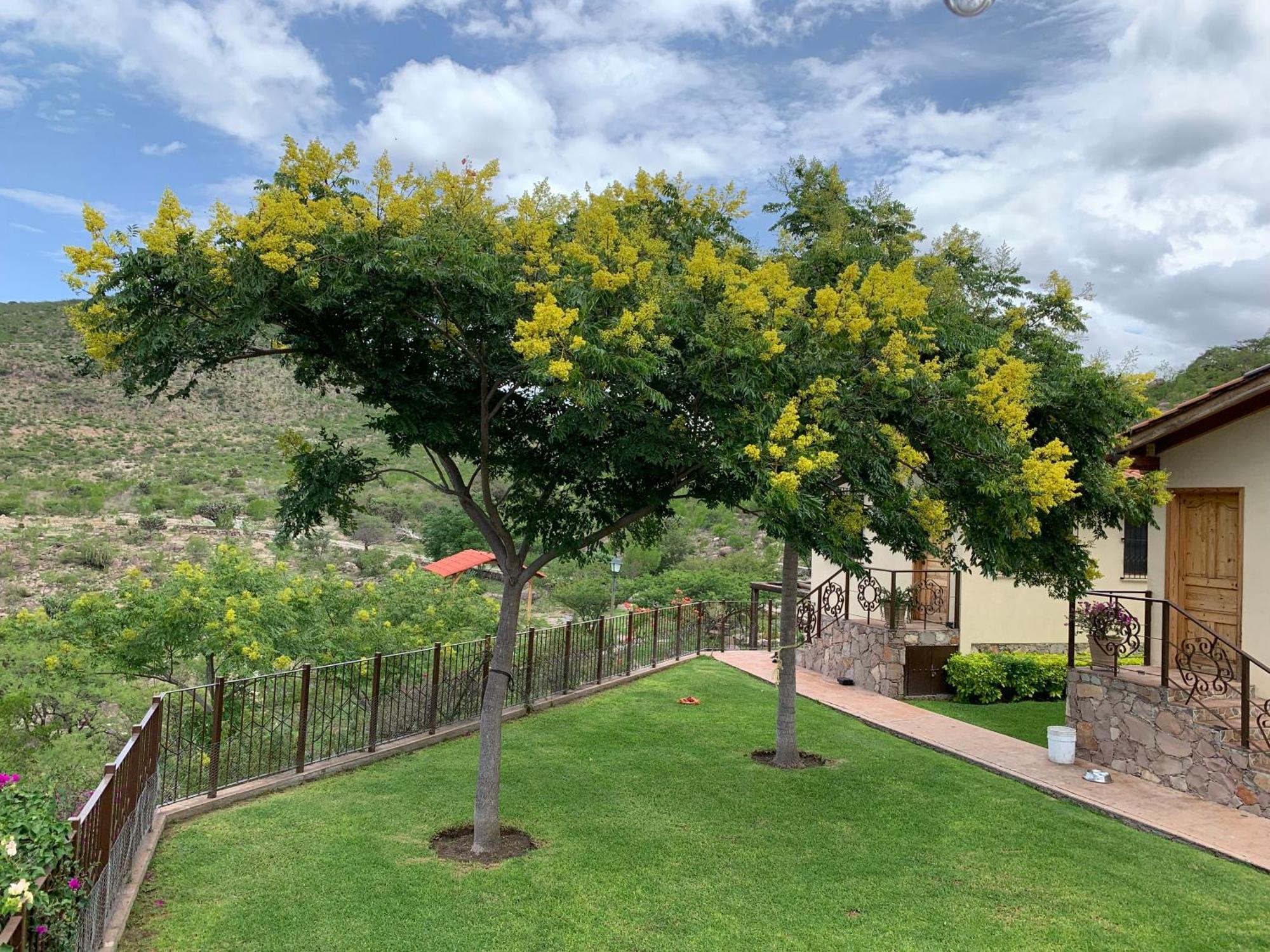 Villa Campestre La Soledad Colon Kültér fotó