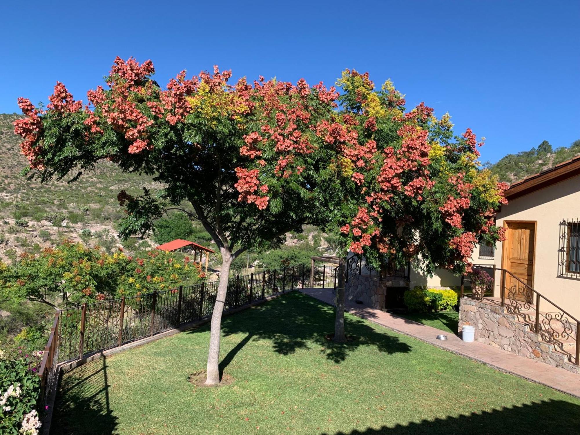 Villa Campestre La Soledad Colon Kültér fotó