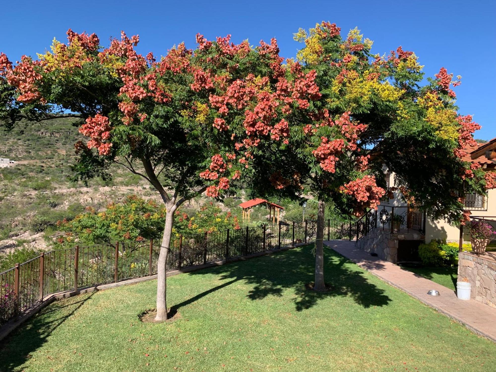 Villa Campestre La Soledad Colon Kültér fotó